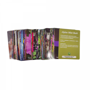 LÁMINAS TÉCNICAS ANCIENT AUSTRALIAN ESSENCES