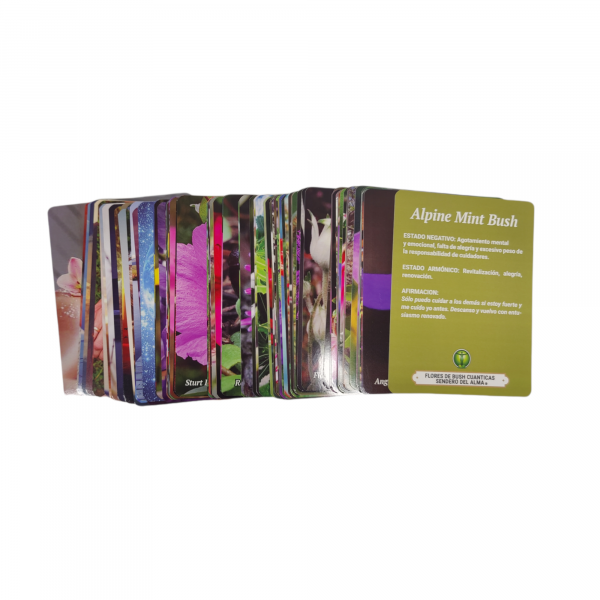 LÁMINAS TÉCNICAS ANCIENT AUSTRALIAN ESSENCES