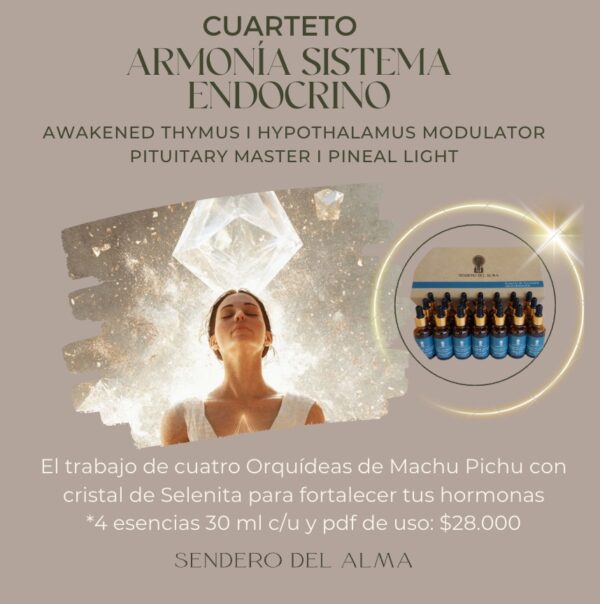 CUARTETO PARA LA ARMONIA HORMONAL