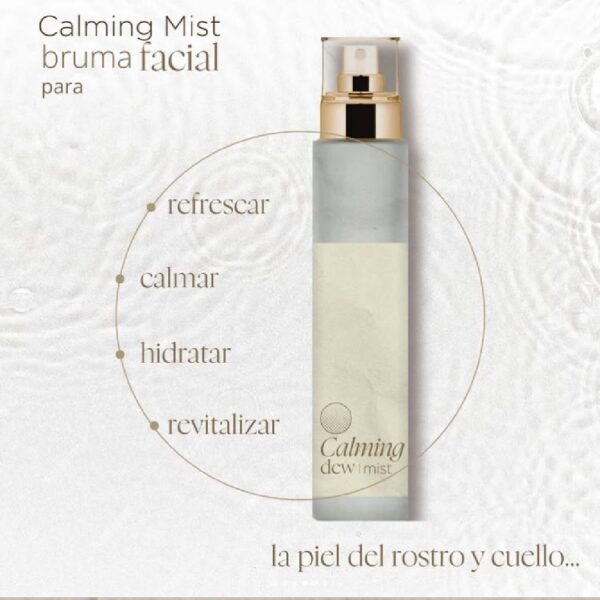 SET DEW (Cruzada de Amor y solidaridad) - Imagen 5