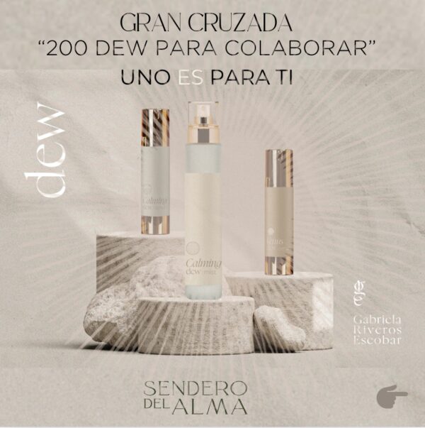 SET DEW (Cruzada de Amor y solidaridad)