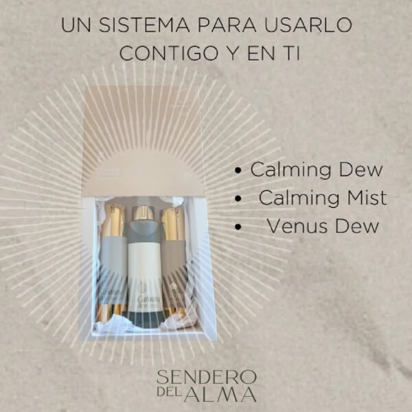 SET DEW (Cruzada de Amor y solidaridad) - Imagen 7