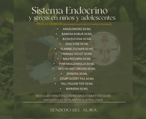 PACK 13 ESENCIAS SISTEMA ENDOCRINO