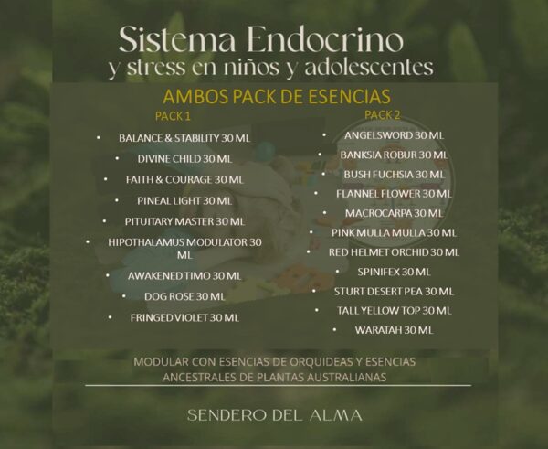 PACK COMPLETO ESENCIAS SISTEMA ENDOCRINO