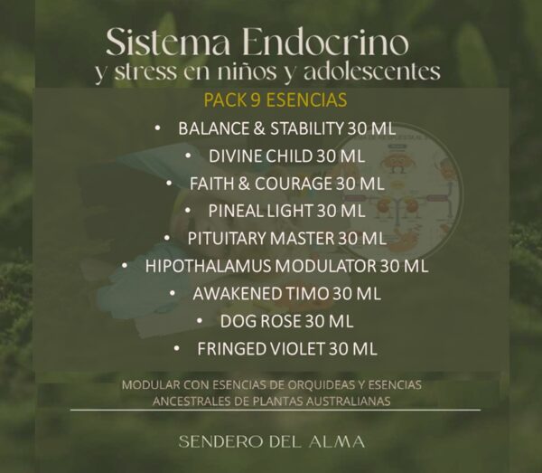 PACK 9 ESENCIAS SISTEMA ENDOCRINO