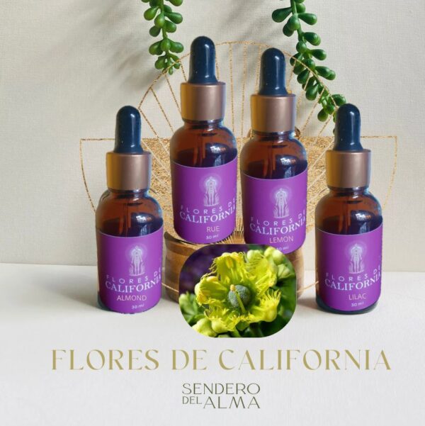 Flor de California Unitaria 30 ml