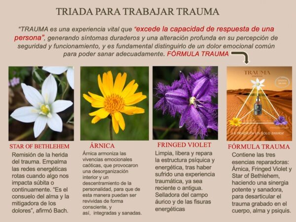 FÓRMULA TRAUMA - Imagen 2
