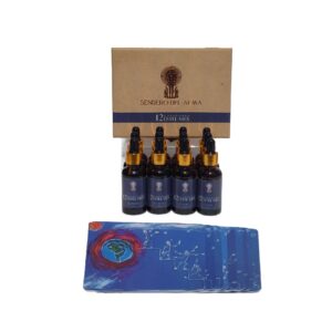 Doce Curadores Estelares