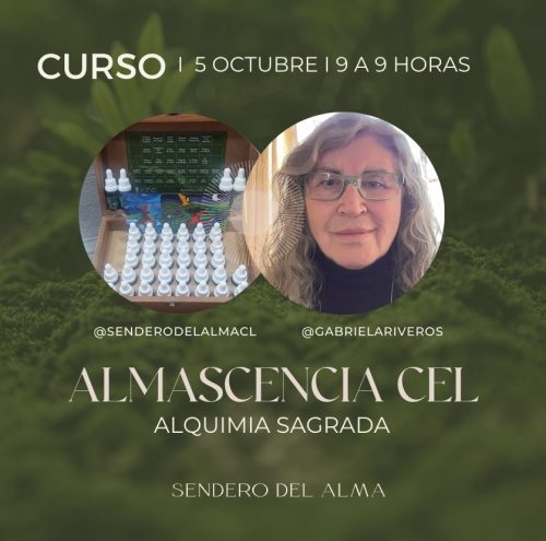 Afiche curso Alma