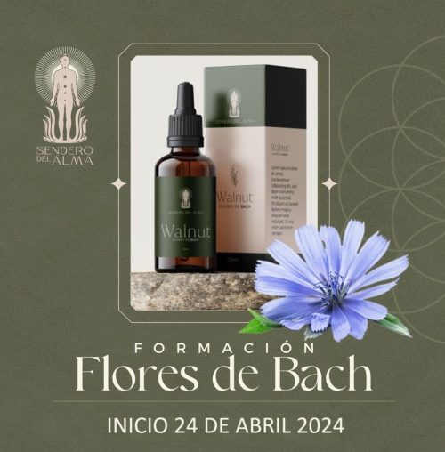 CURSO FORMATIVO FLORES DE BACH 24